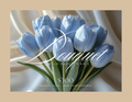 Wild Pass — Bouquet